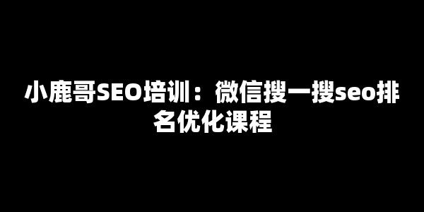 小鹿哥SEO培训：微信搜一搜seo排名优化课程